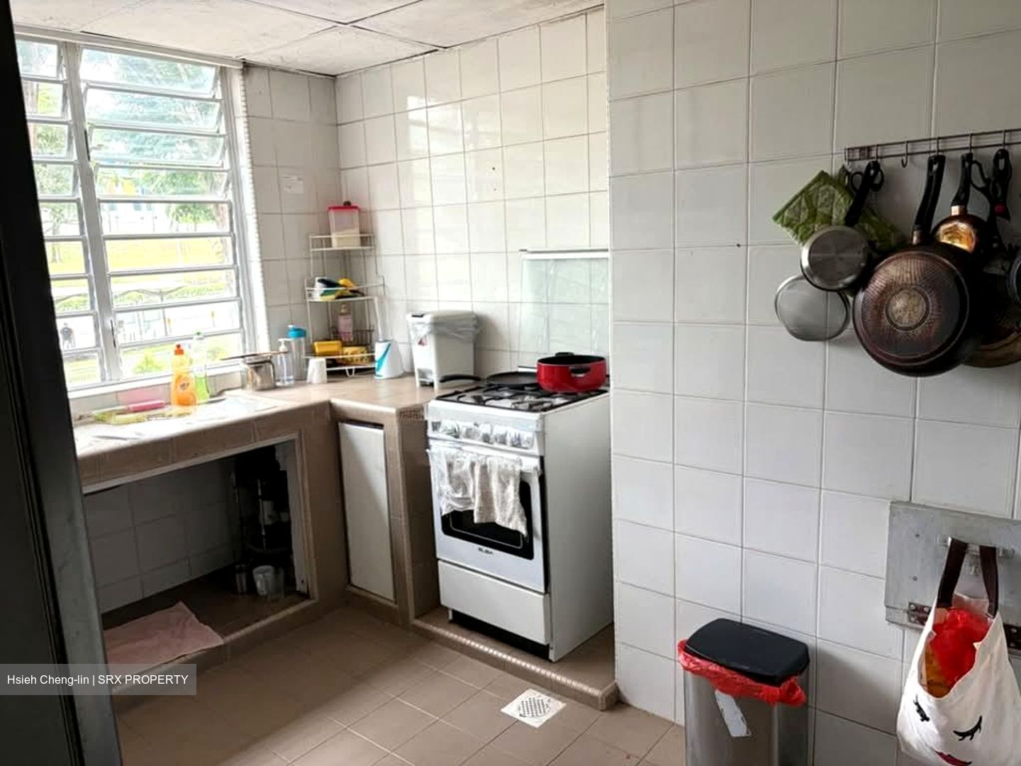 Pandan Valley (D21), Condominium #526648451